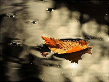 Treibend / ***