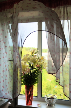 Fenster im Sommer / ***