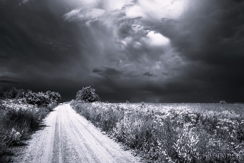Vor dem Sturm / ***