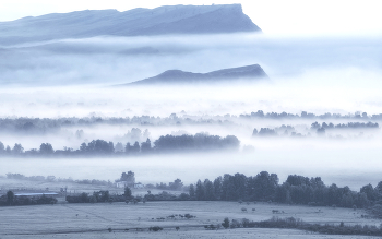 Floors / ***
