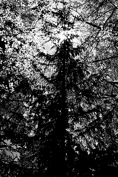 Leben rund um / ***