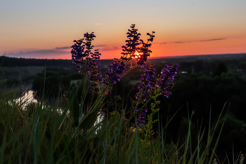 Sonnenaufgang / ***