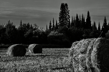 Sommerabend. / ***