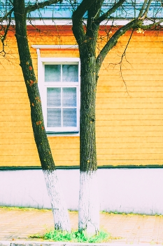 Fenster / ***