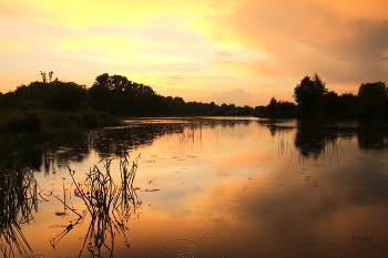 Abend / ***
