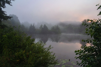 Nebel in der Morgendämmerung. / ***