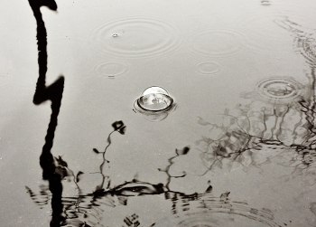Regen / ***