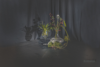Still Life / ***