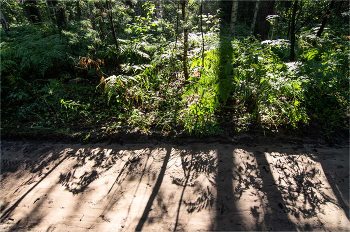 Schattenspiel / ***