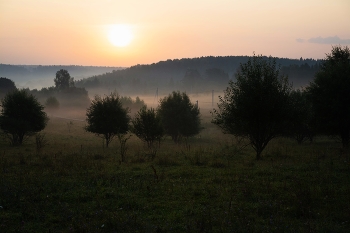 August ... / ***