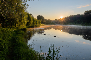 Am frühen Morgen / ***