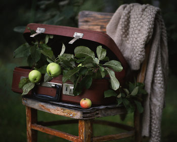 Apple-... / ***