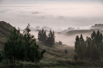 Nebel / ***