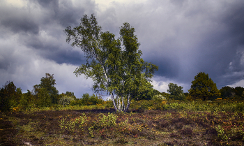 Schlechtes Wetter / ***