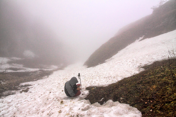 &nbsp; / ***