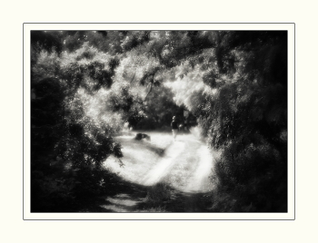 Bukett / ***