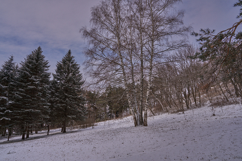 Und wieder Winter / ***