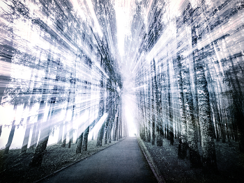 Licht / ***