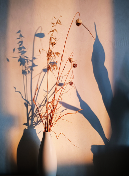 Abend / ***