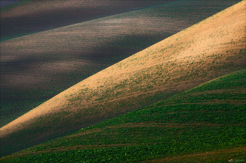 ABSTRACTION / ***