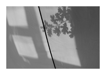 Fenster / ***