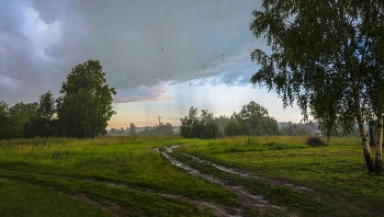 Diese Sommerregen ... / ***