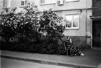 Stelle / ***