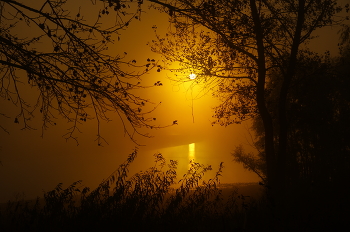 Morgennebel / ***