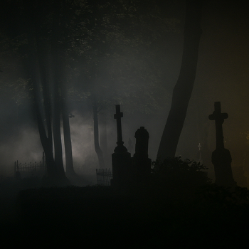 Silhouetten. / ***
