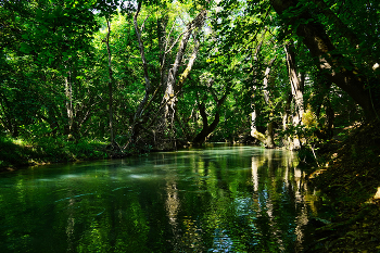 &nbsp; / ***