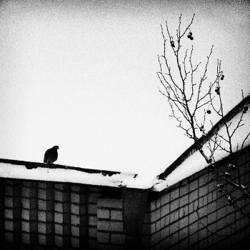 Stehleuchte / ***