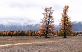 Altai Herbst / ***