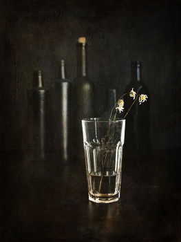 Vergessen / ***