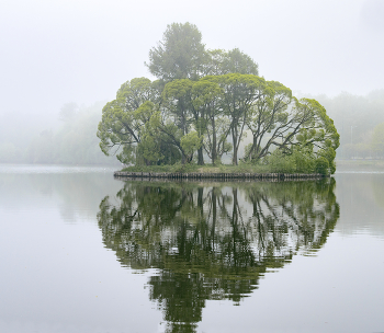 Insel / ***