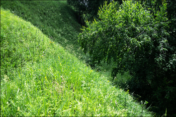 Erholung / ***