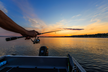 &nbsp; / ***