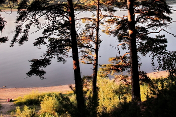 Sommerabend. / ***