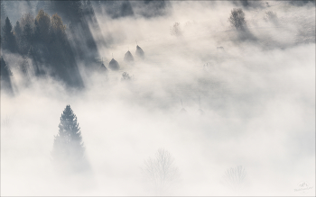 Morgen Silhouetten / ***