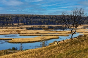 &nbsp; / ***