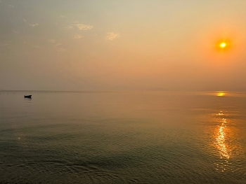 Am Ende des Tages ... / ***
