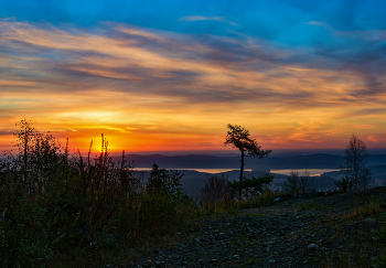 Sonnenaufgang im Wald / ***