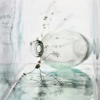 Mondscheinsonate / ***