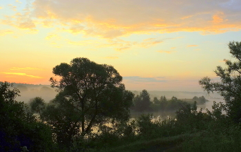 Sommermorgen. / ***