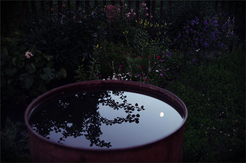 Abend / ***