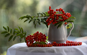 Herbst / ***