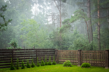 Regenguss / ***