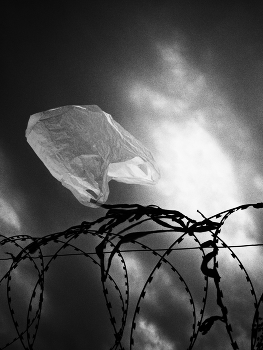 Schlaflosigkeit / ***