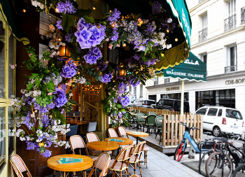 Cafe / ***