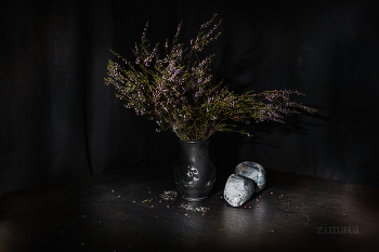 Heide / ***