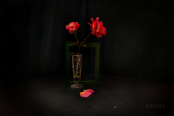 Stilleben mit Rosen / ***